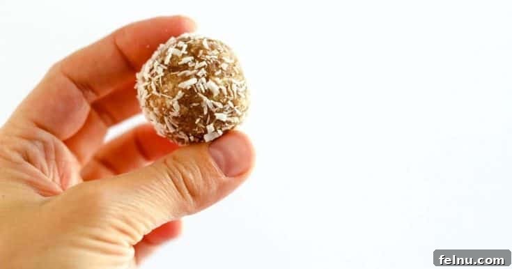 No-Bake Vegan Snowball Cookies