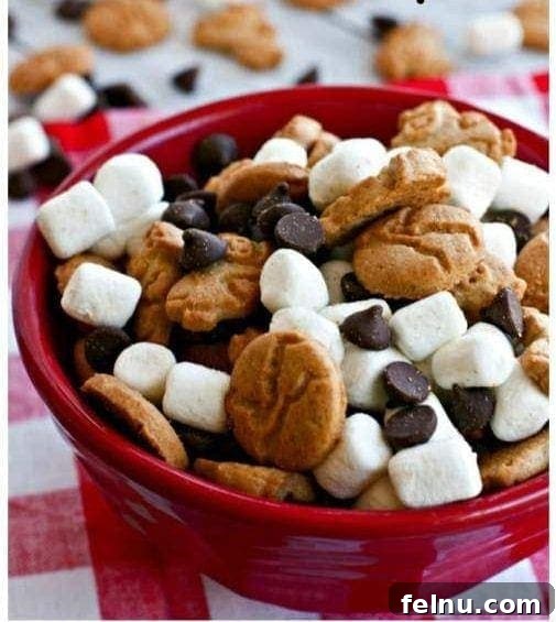Easy S’mores Snack Mix