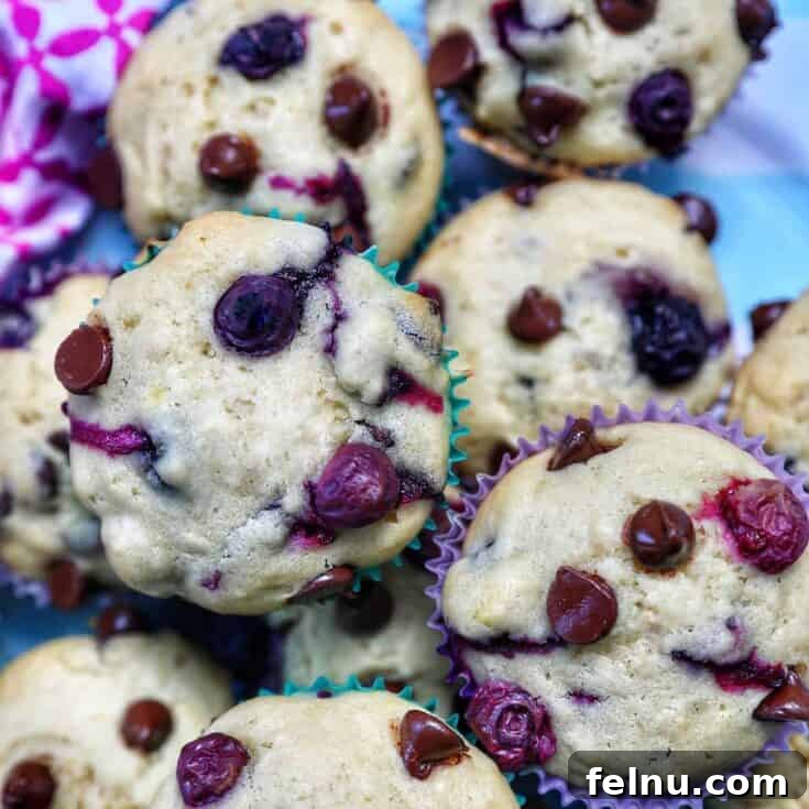 Blueberry Chocolate Chip Muffins