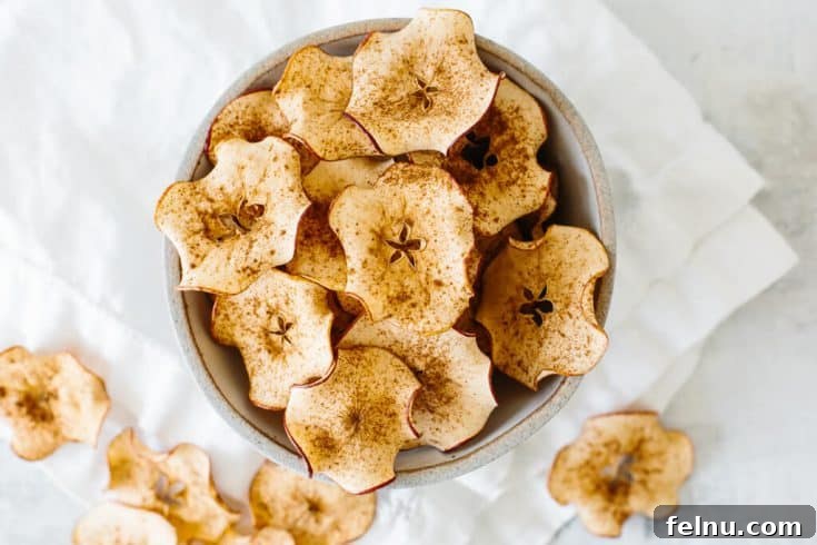Easy Apple Chips Recipe