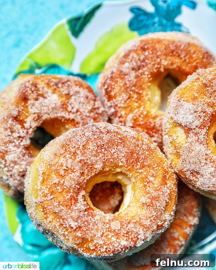 Effortless Air Fryer Doughnuts 2 golden brown air fryer donuts with a dusting of cinnamon sugar