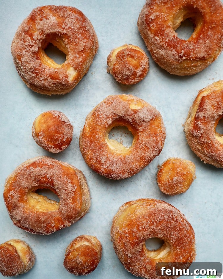 Effortless Air Fryer Doughnuts 3 air fryer donuts and donut holes arranged on a wooden surface