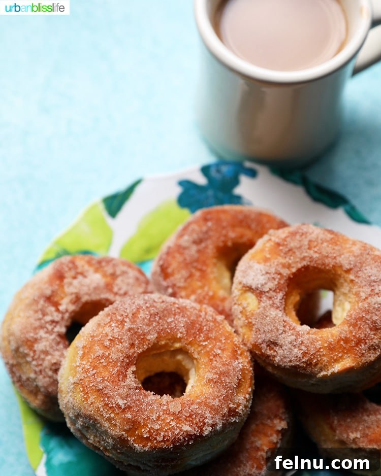 Effortless Air Fryer Doughnuts 10 air fryer donuts and coffee