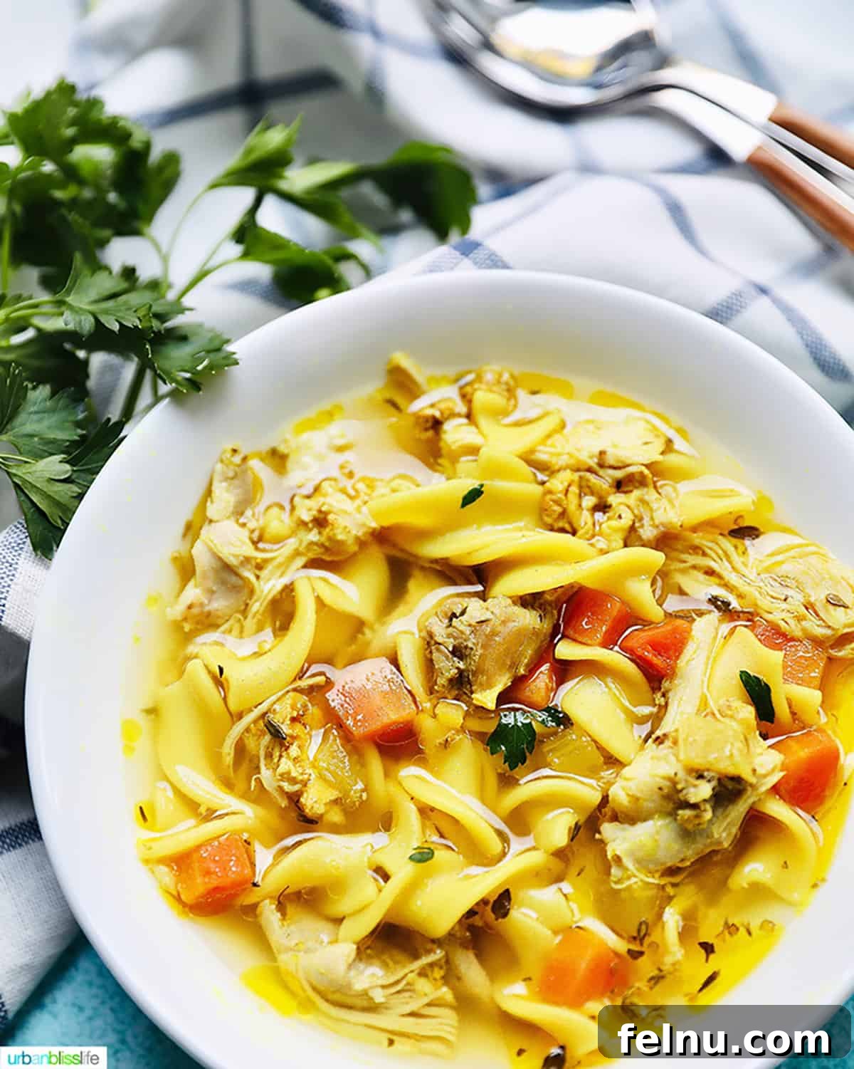 Immunity boosting chicken soup with noodles in a white bowl, served with spoons and garnished with parsley.