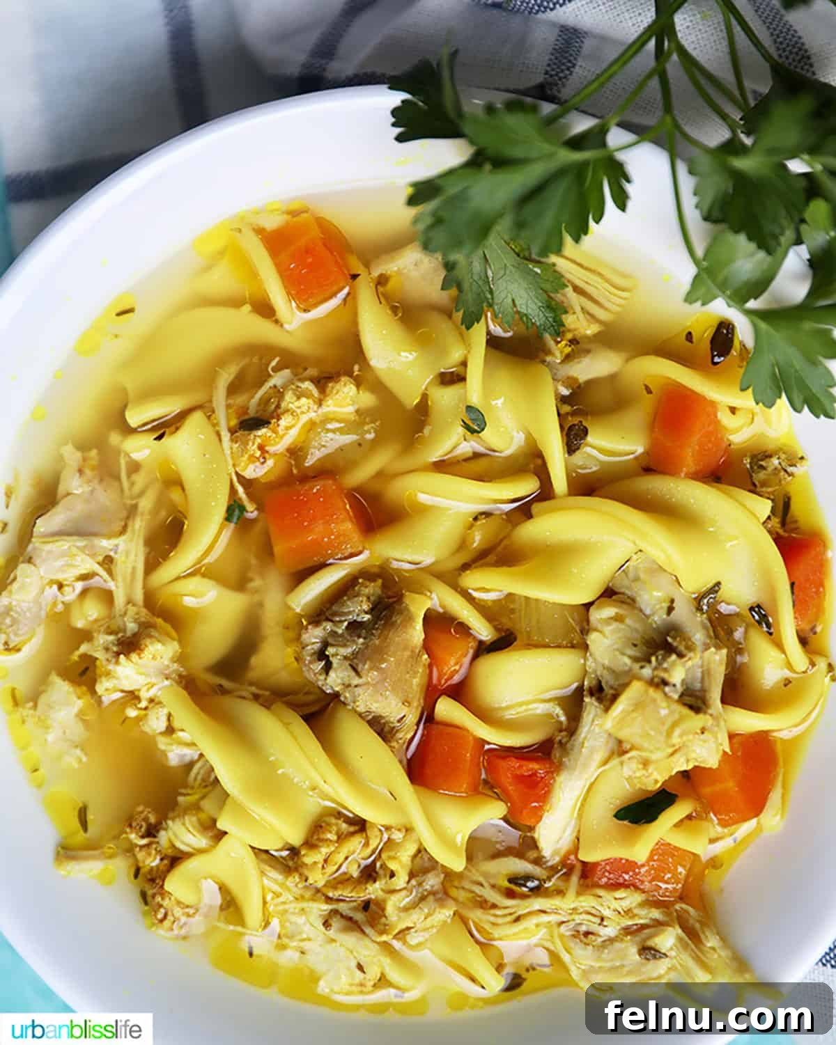 A close-up of chicken noodle soup with carrots, highlighting the vibrant colors and nourishing ingredients.