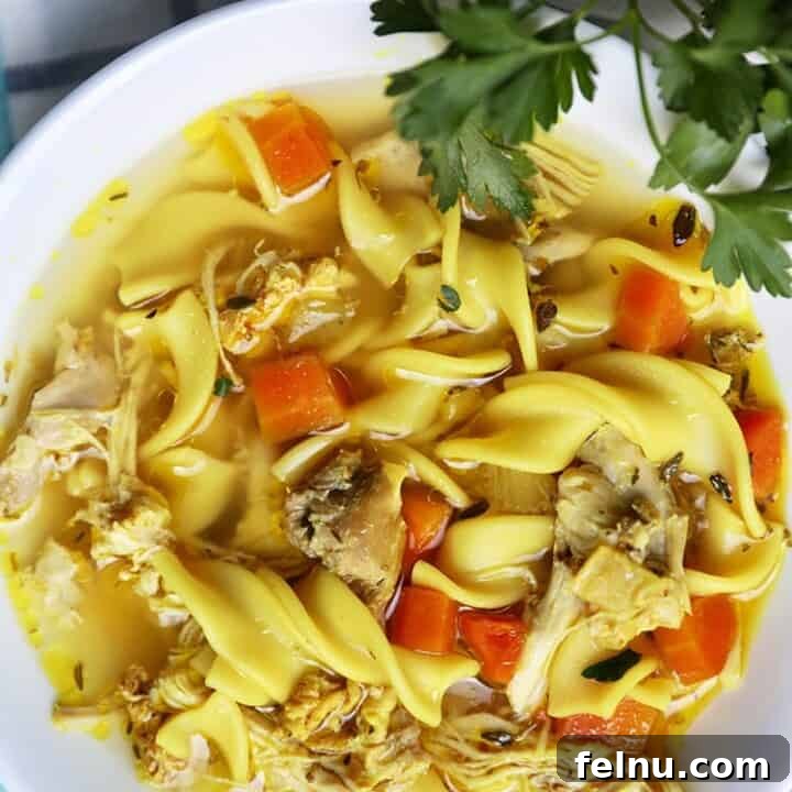 Instant Pot Chicken Noodle Soup