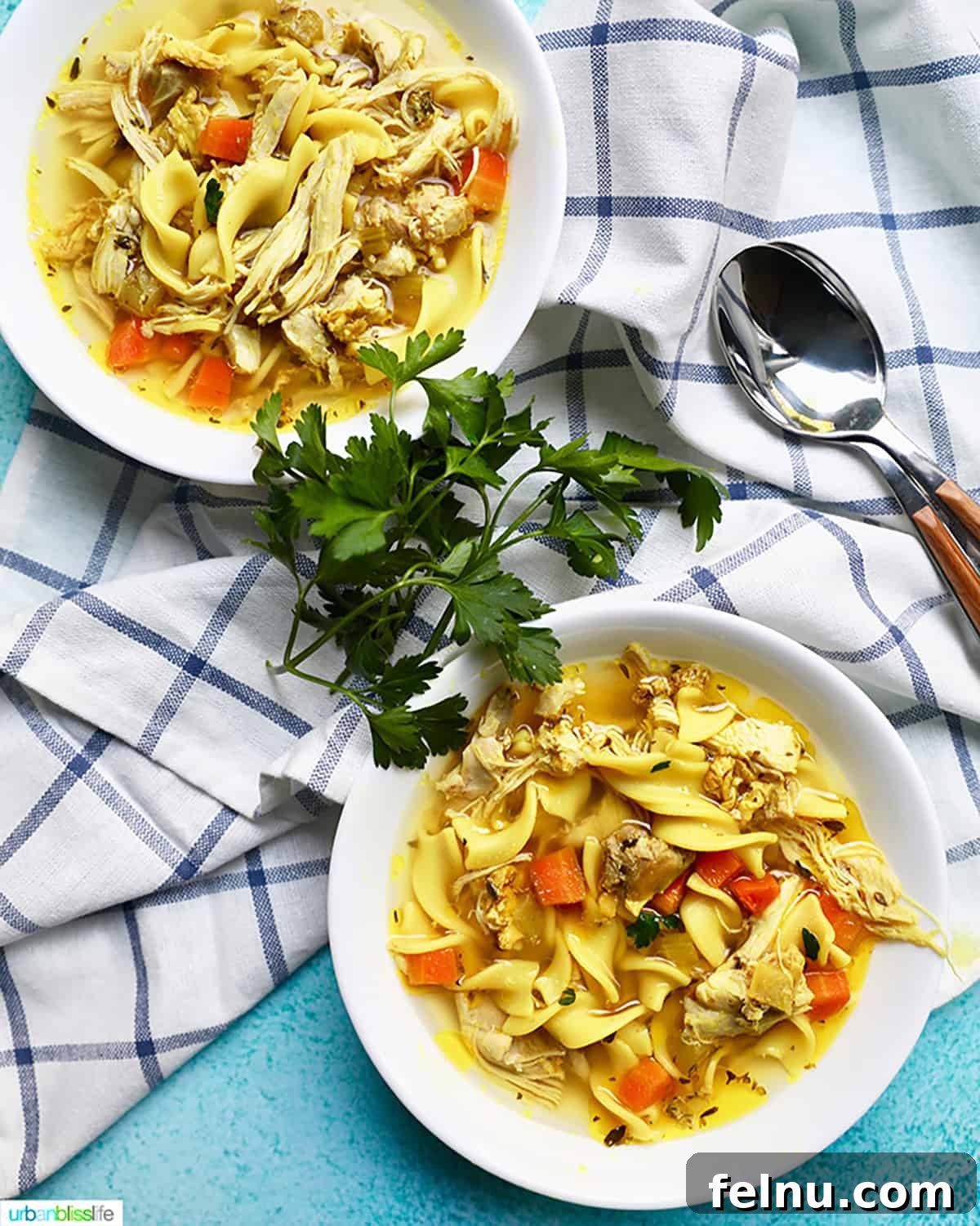 Two bowls of chicken noodle soup, garnished with parsley, set on a checkered tablecloth, showcasing a comforting and healthy meal.