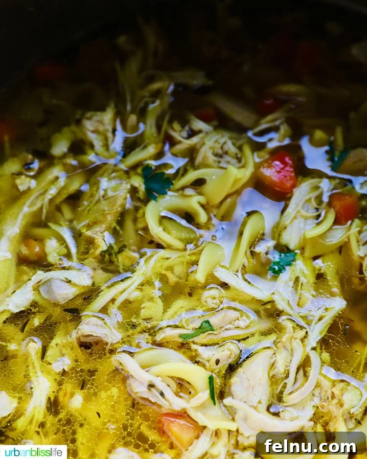 Close-up of Instant Pot Chicken Noodle Soup in a post, highlighting the rich broth and tender vegetables.