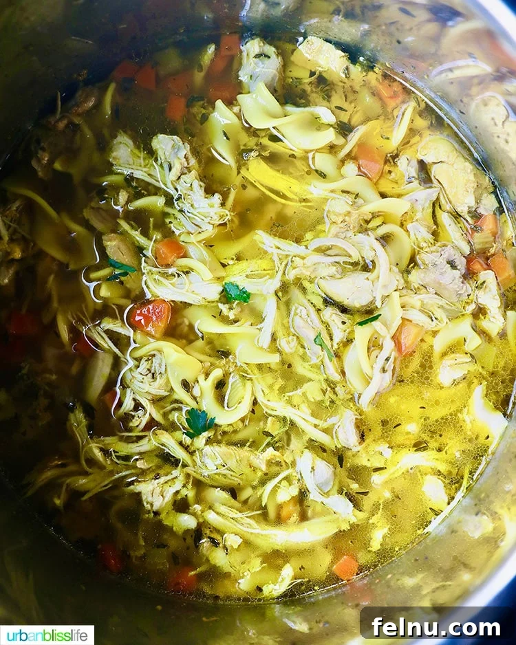 Instant Pot Chicken Noodle Soup filling the pot, showcasing the abundance of ingredients and comforting texture.