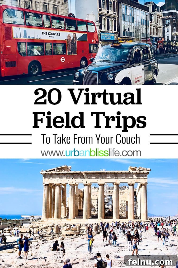 20 Virtual Journeys From The Comfort Of Your Home 23 Pinterest graphic featuring the title '20 virtual field trips' and images of various destinations