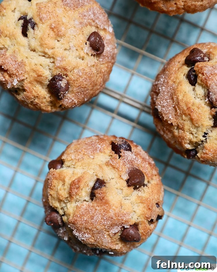 The Ultimate Chocolate Chip Muffins 3 Chocolate Chip Muffins
