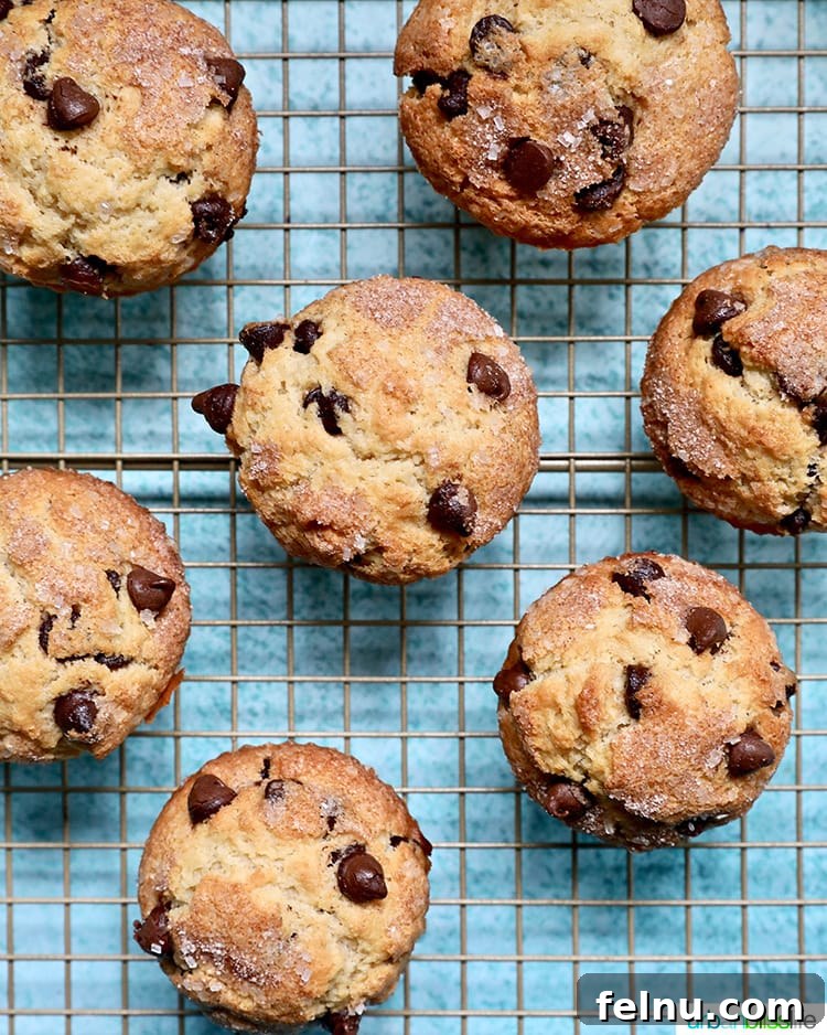 The Ultimate Chocolate Chip Muffins 4 The best Chocolate Chip Muffins