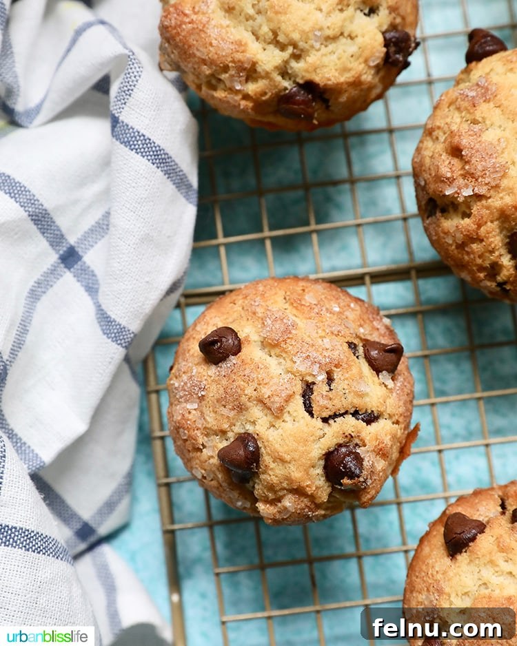 The Ultimate Chocolate Chip Muffins 5 Best Chocolate Chip Muffins