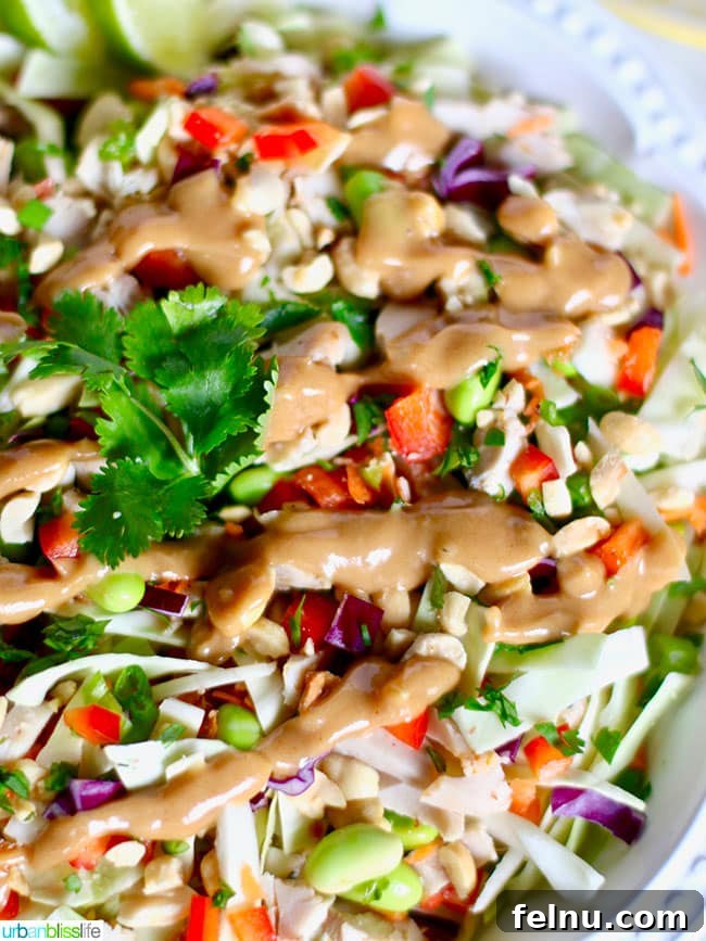 Family-Friendly Dinner Delights: 110 Simple & Delicious Recipes 11 Thai Chicken Salad: A Flavorful and Satisfying Main Course
