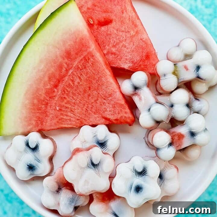 Frozen dog treats: watermelon, blueberry, yogurt dog treats