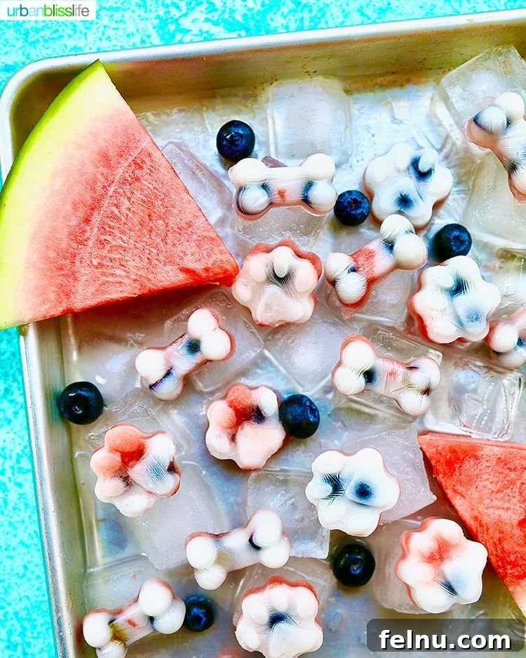 Frozen Watermelon Blueberry Yogurt Dog Treats
Summer Pawsicles: Watermelon Blueberry Yogurt Delights 3 Frozen watermelon dog treats neatly arranged on an ice tray