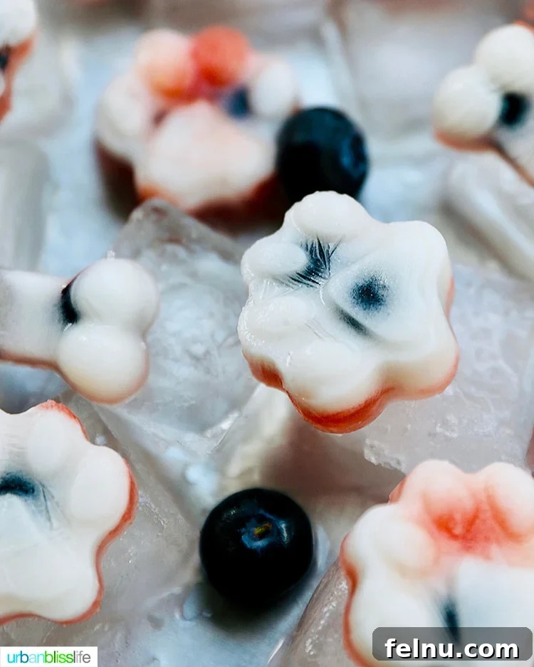 Frozen Watermelon Blueberry Yogurt Dog Treats
Summer Pawsicles: Watermelon Blueberry Yogurt Delights 5 Close-up shot of the frozen dog treats over ice