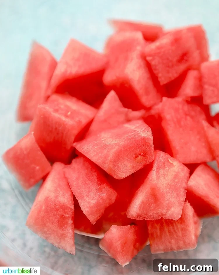 Frozen Watermelon Blueberry Yogurt Dog Treats
Summer Pawsicles: Watermelon Blueberry Yogurt Delights 8 Cubed watermelon ready to be blended