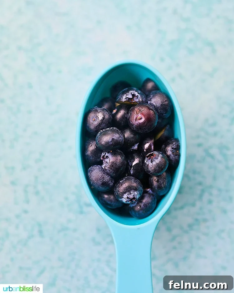 Frozen Watermelon Blueberry Yogurt Dog Treats
Summer Pawsicles: Watermelon Blueberry Yogurt Delights 10 Fresh blueberries