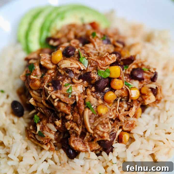 Instant Pot Fiesta Chicken served