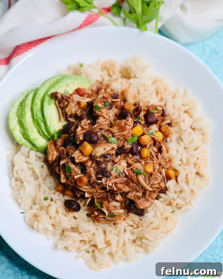 Fiesta Chicken Pressure Cooker Recipe 3 Close-up of Instant Pot Fiesta Chicken