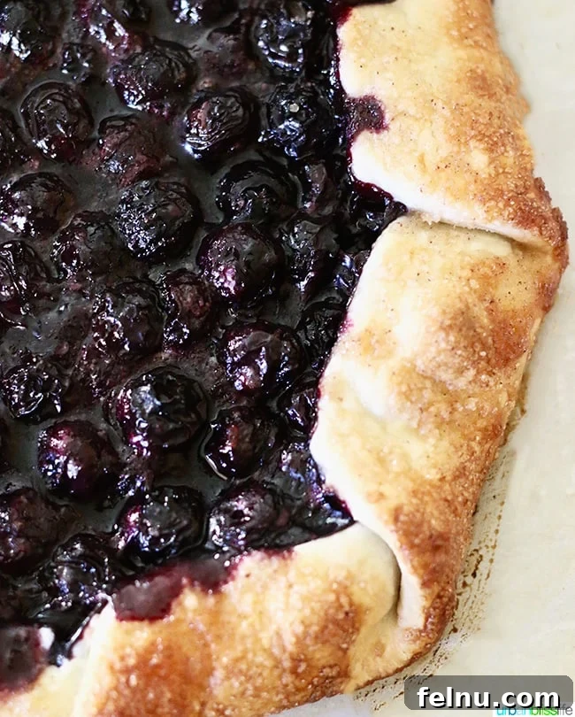 Blueberry Galette