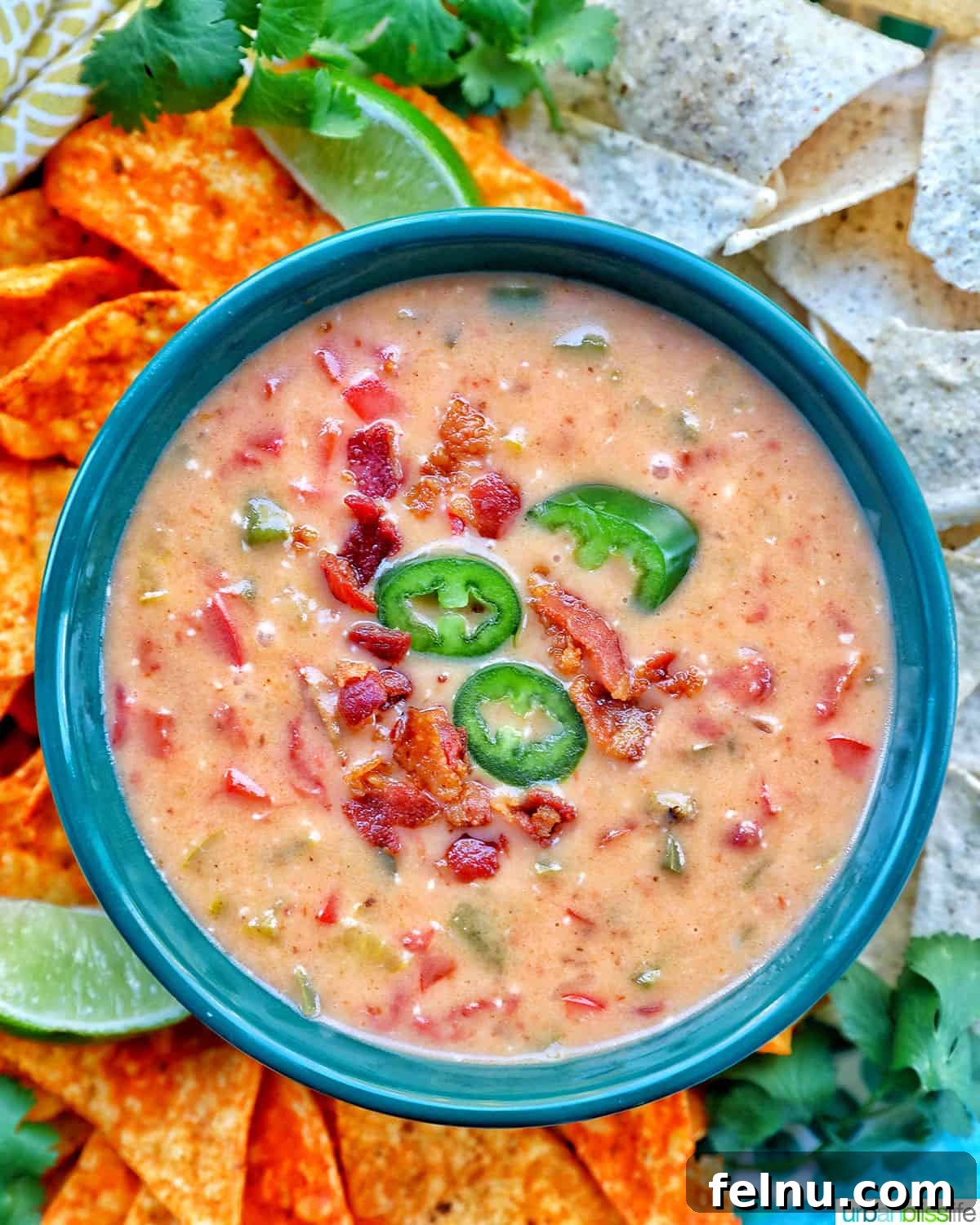 Bowl of dairy-free queso dip with nacho chips