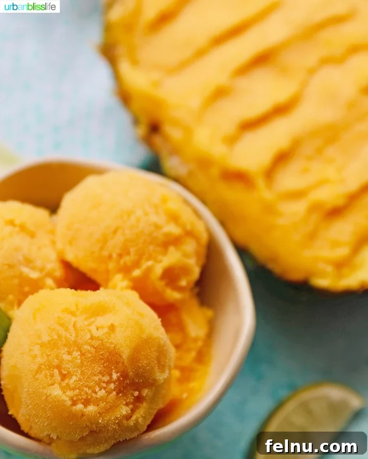Close-up of Pineapple Mango Sorbet
