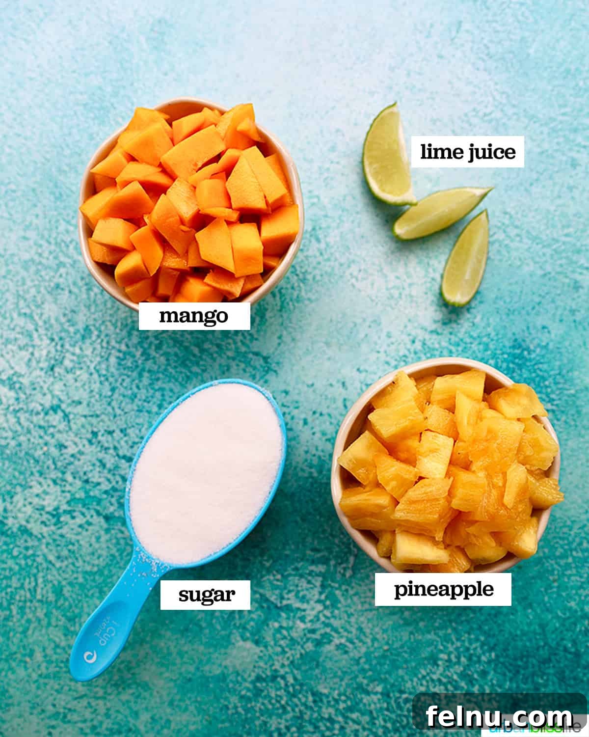 Ingredients for Pineapple Mango Sorbet