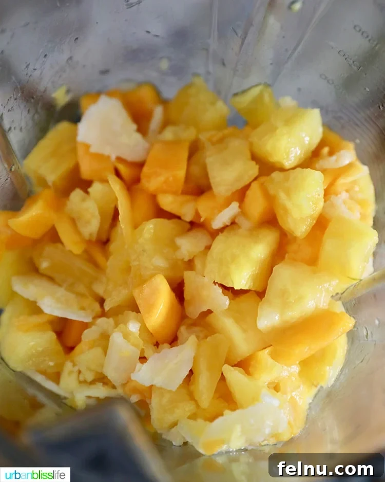 Pineapple Mango Sorbet Ingredients in Blender