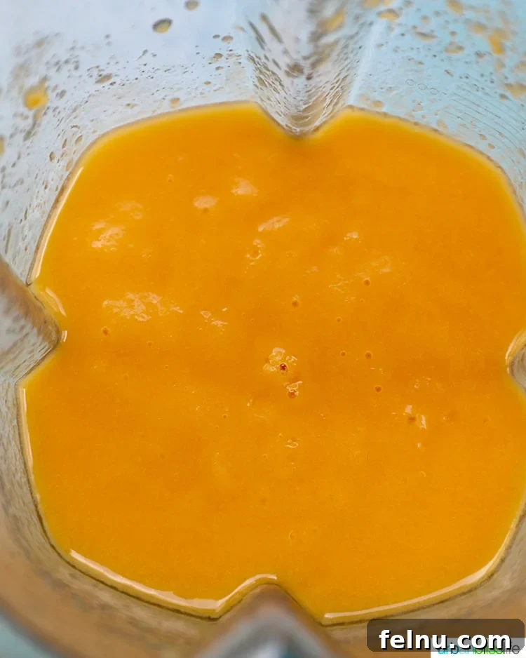 Blended Sorbet in Blender