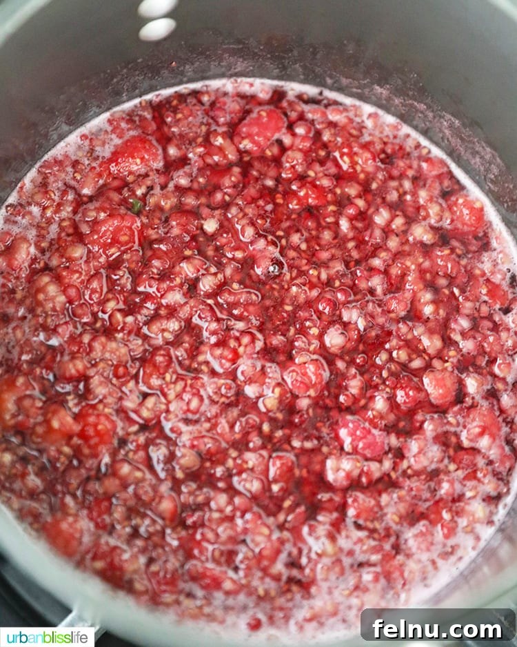 raspberry jam cooking down