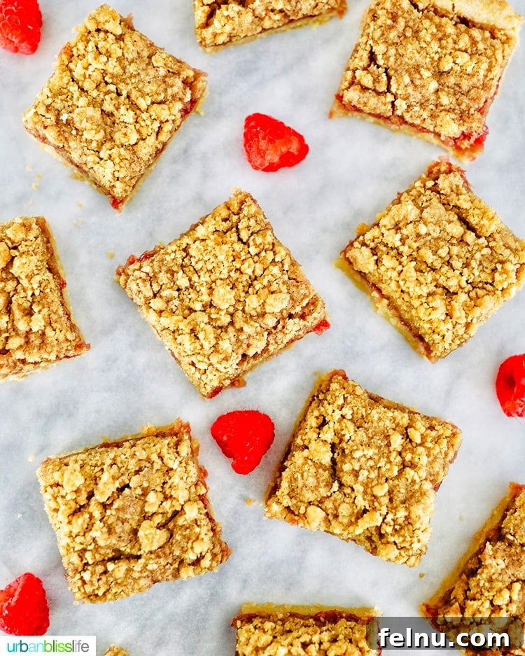 Raspberry Streusel Bars 2 flatlay photo of several Raspberry Crumble Bars