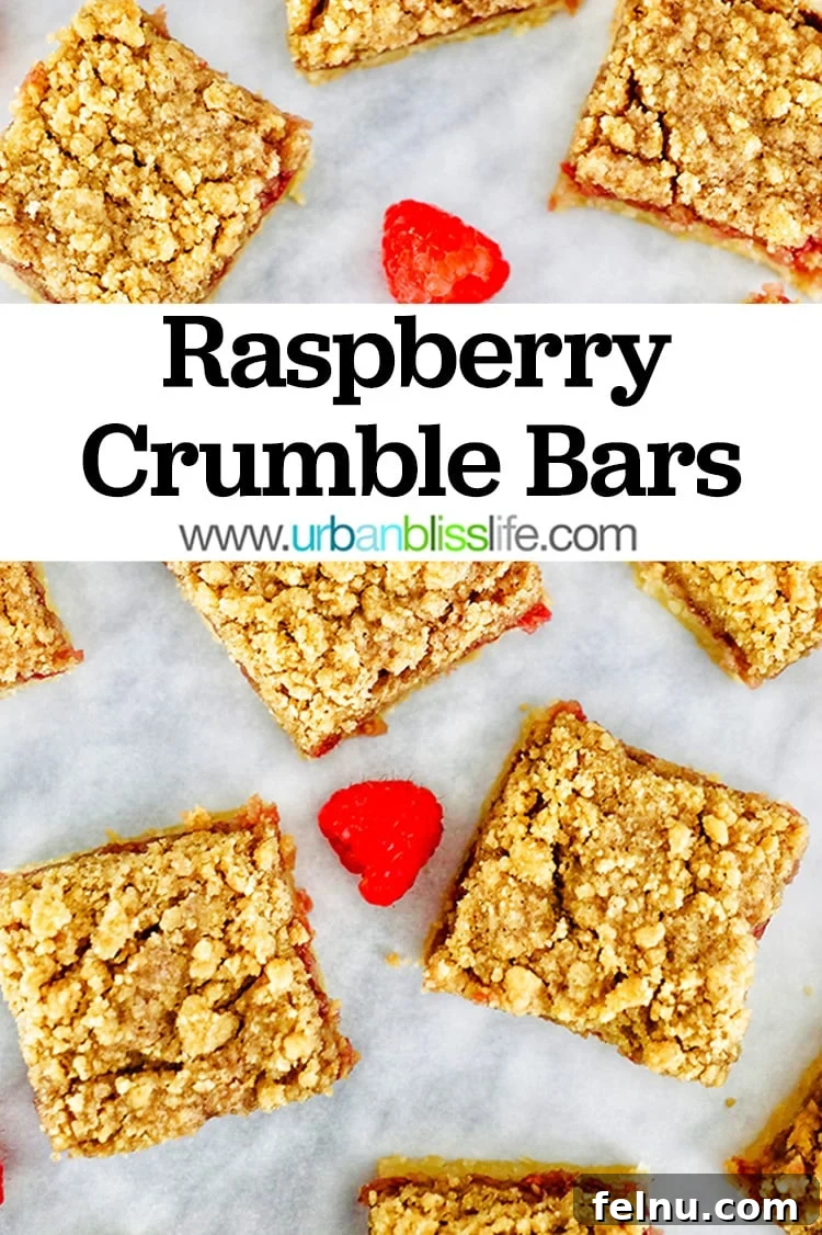Raspberry Streusel Bars 11 Raspberry Crumble Bars recipe