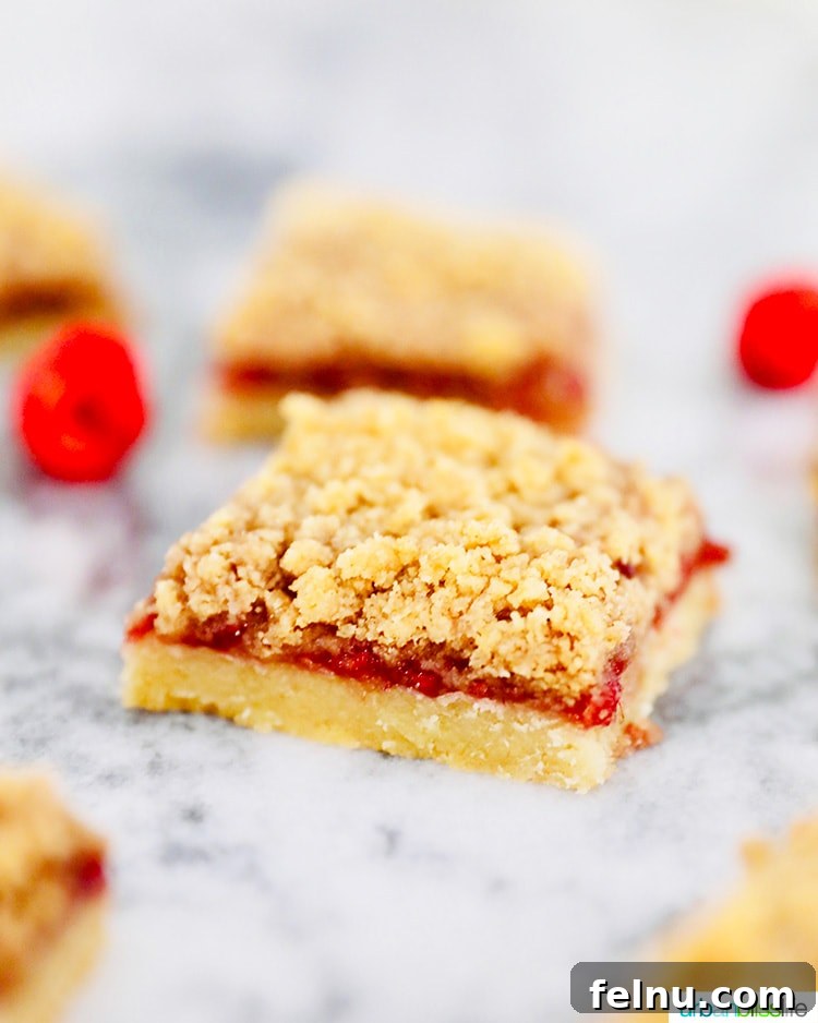 Raspberry Streusel Bars 10 single Raspberry Crumble Bar