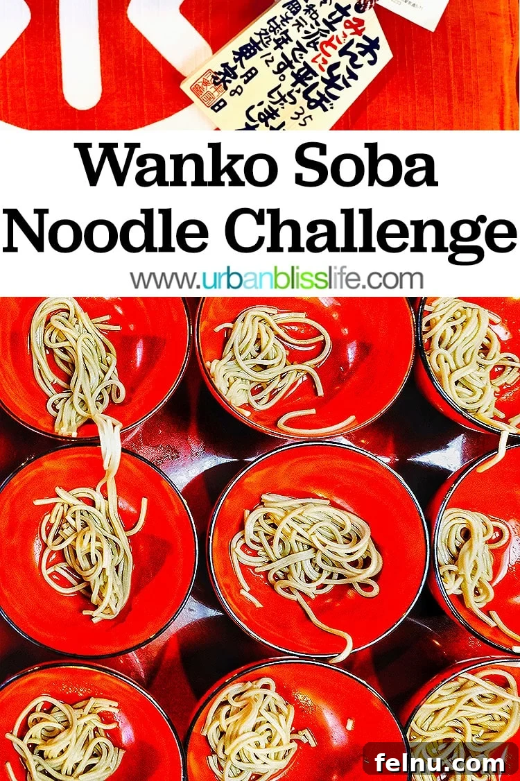 The Endless Noodles of Morioka: A Wanko Soba Adventure 15 Collage image for Wanko Soba Noodle Challenge