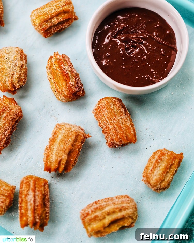 Close-up of crispy churro bites served with a rich chocolate dipping sauce.