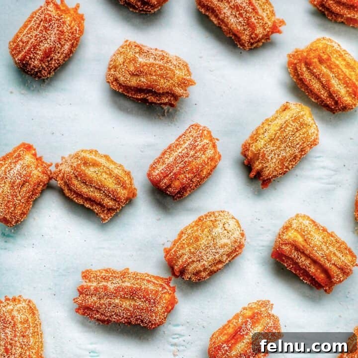 flatlay of churro bites sprinkled on a sheet