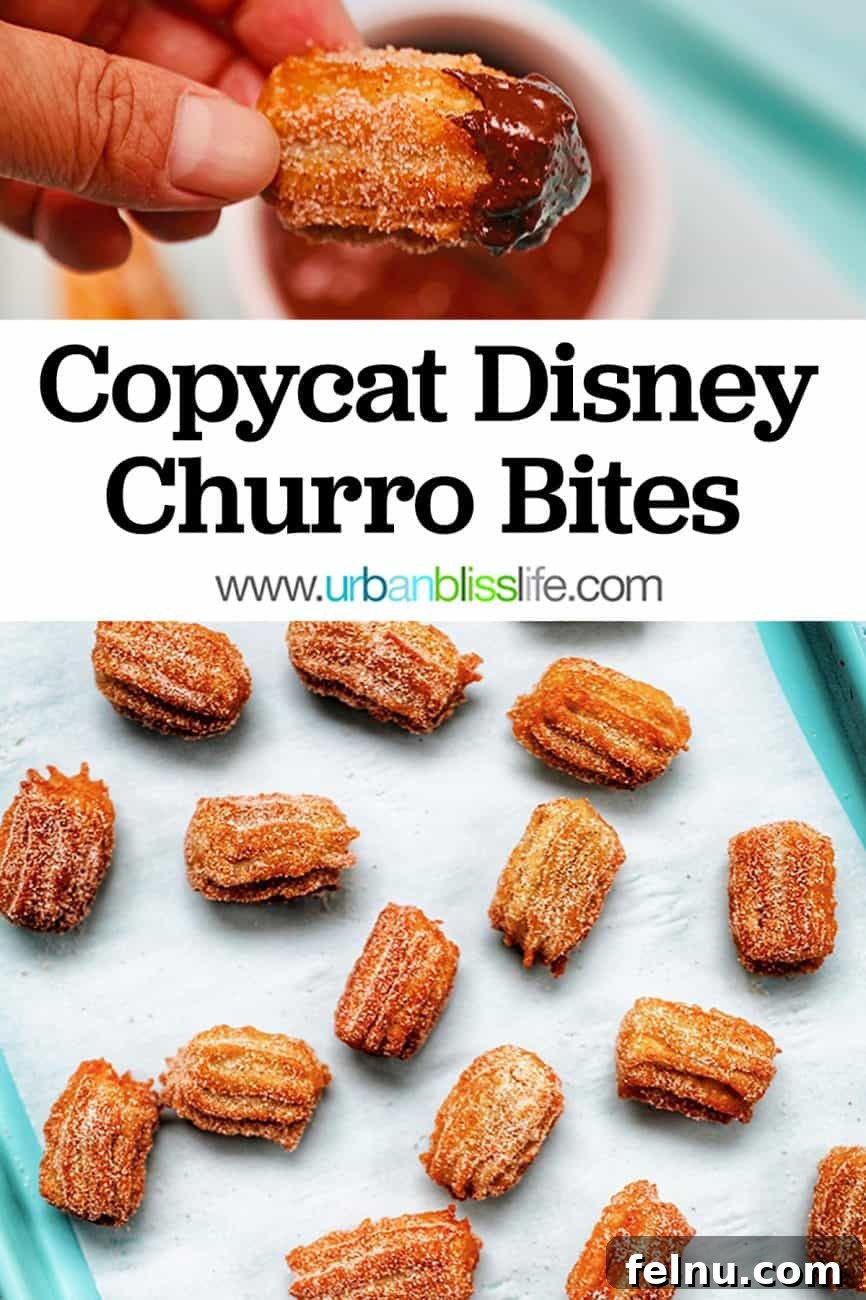 main graphic for cinnamon sugar churros