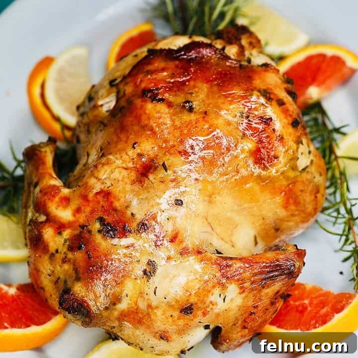 Citrus Infused Roast Chicken 10 Citrus Herb Roast Chicken
