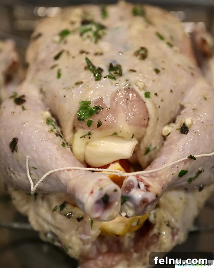 Citrus Infused Roast Chicken 5 roast chicken ready to go into the oven