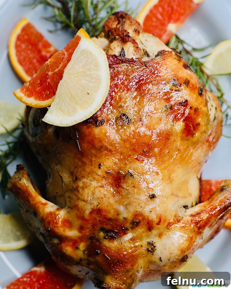 Citrus Infused Roast Chicken 7 Citrus Herb Roast Chicken