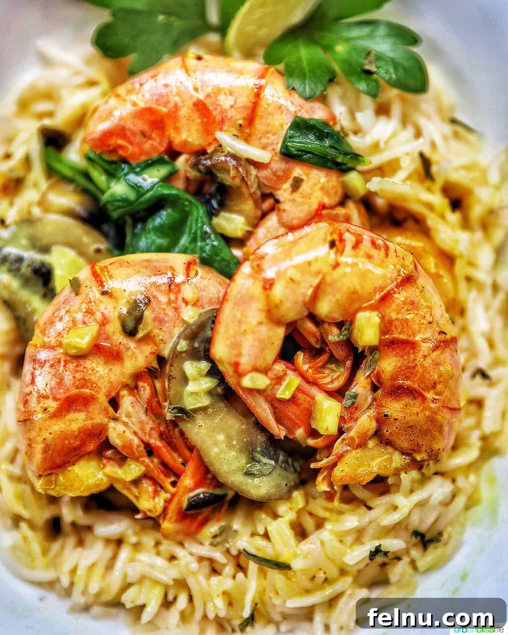 Creamy Coconut Curry Shrimp and Mushroom Medley 2 Closeup of Coconut Curry Shrimp and Mushrooms, a vibrant and aromatic dish