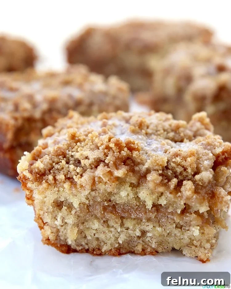 Elevate Your Everyday with Ultra-Filtered Milk 9 A close-up of a single, enticing slice of Banana Crumb Coffee Cake.