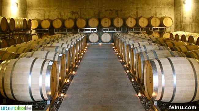 Oregon's Premier Wine Tasting Escapes: Summer 2024 16 Hawks View Cellars barrel room