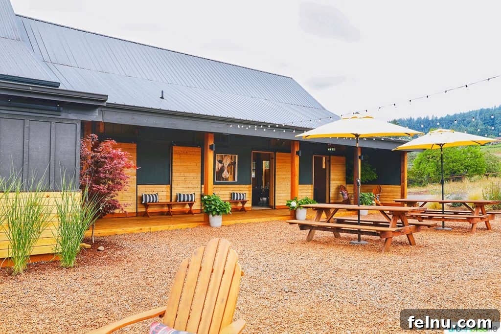 Oregon's Premier Wine Tasting Escapes: Summer 2024 17 Hazelfern Cellars back patio seating area