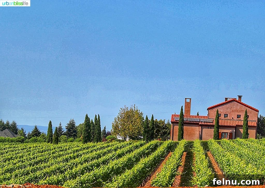Oregon's Premier Wine Tasting Escapes: Summer 2024 5 The captivating Alloro Vineyard with vineyard and tasting room.