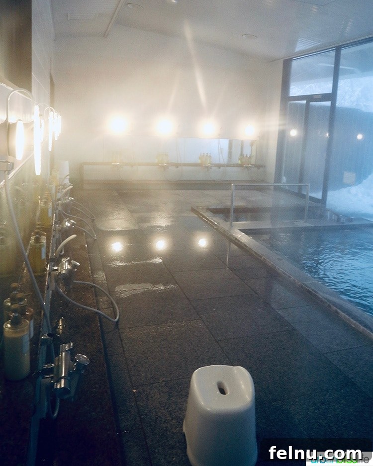 Hotel Jogakura: Experience the Best of Aomori, Japan 17 women's showers for Japanese bath