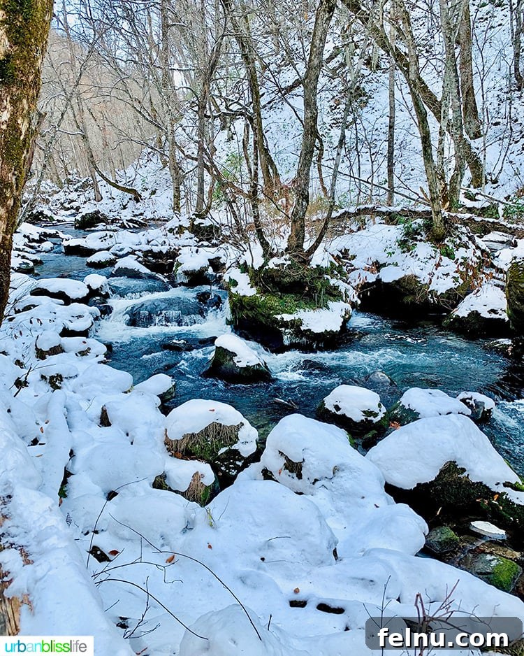 Hotel Jogakura: Experience the Best of Aomori, Japan 18 Oirase gorge japan