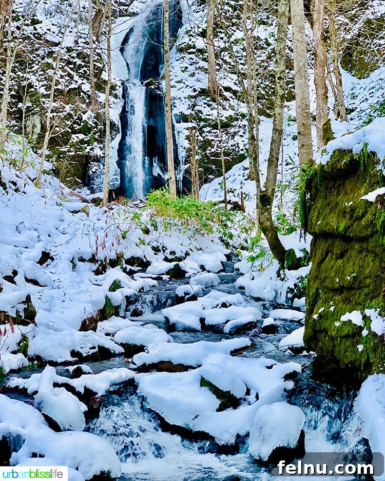 Hotel Jogakura: Experience the Best of Aomori, Japan 4 beautiful Oirase Gorge in Aomori Prefecture Japan